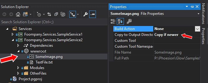 wwwroot_Folder